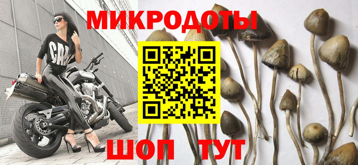 Псилоцибиновые грибы мицелий  Галлюциногенные грибы MAGIC MUSHROOMS  Каменск-Уральский  Вход с VPN 